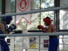 sam_9433