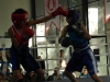 sam_9437